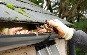 gutter cleaning Dalmary, Stirling